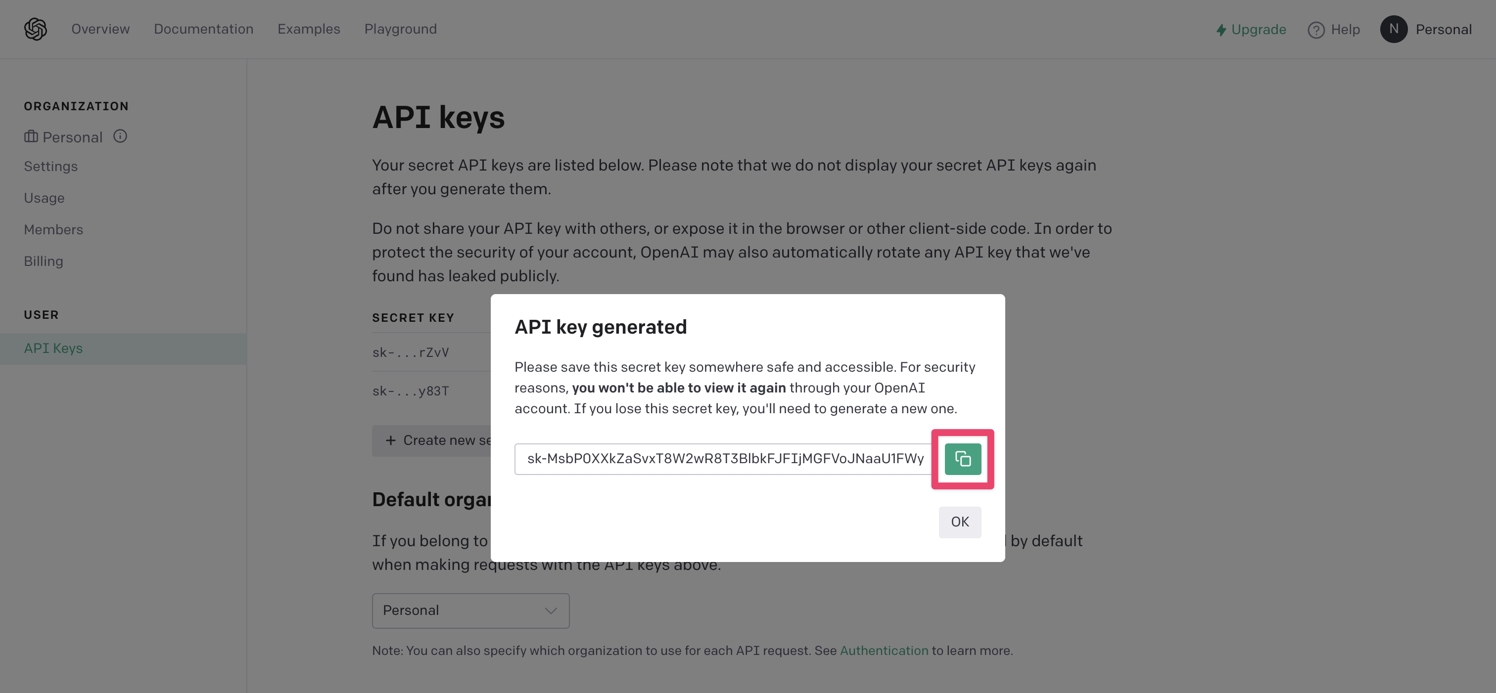 Open AI copy API key